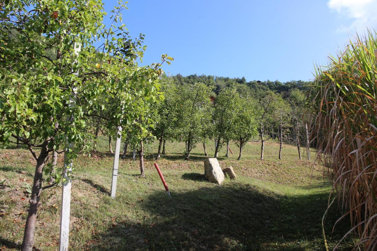 Ausserperskolerhof - Adults Only Fiè Екстериор снимка