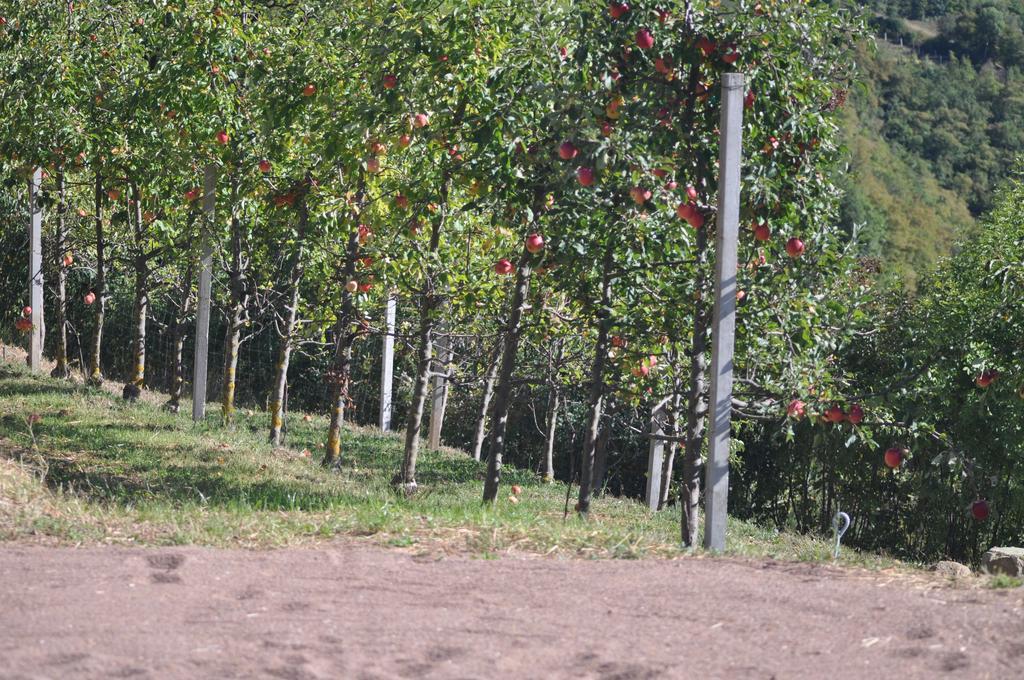 Ausserperskolerhof - Adults Only Fiè Екстериор снимка
